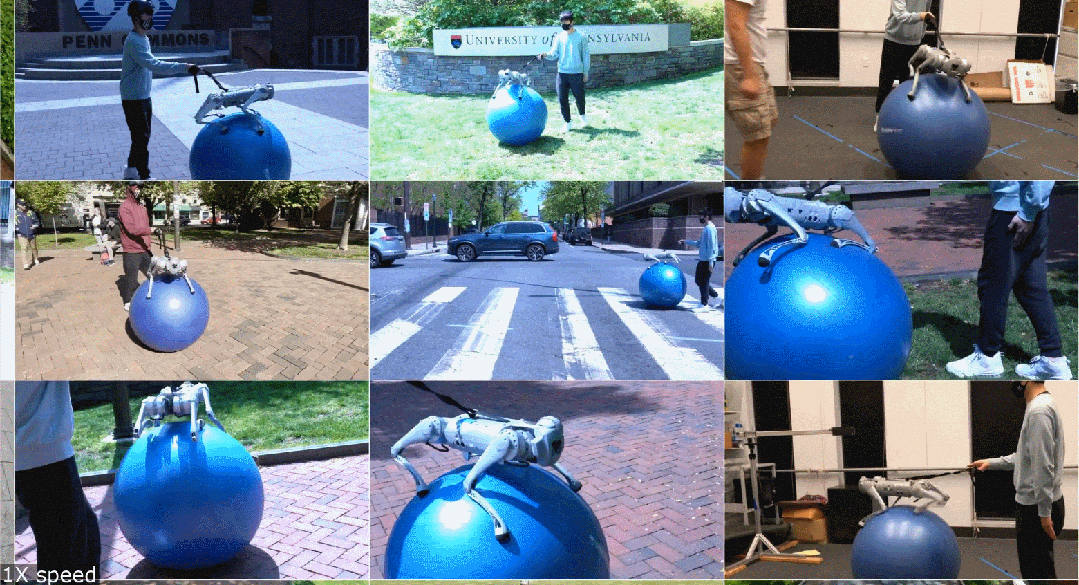 瑜伽球上遛「狗」！入选英伟达十大项目之一的Eureka有了新突破