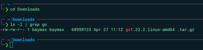go-binary-find
