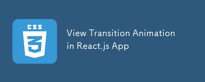 View Transition Animation in React.js App