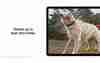 Samsung Galaxy Tab S10 Plus: New flagship tablet showcased in leaked promotional video