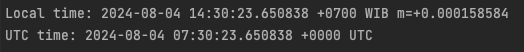 How to Handle Time Zones and Sync Your Software on the server side using Go