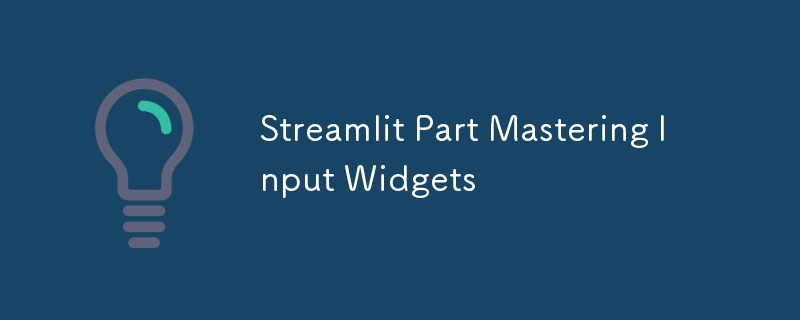 Streamlit Part Mastering Input Widgets