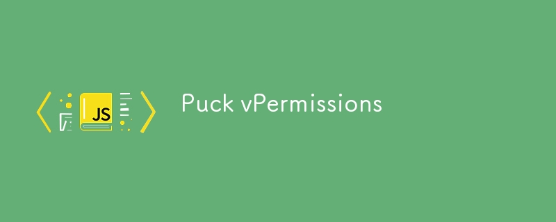 Puck vPermissions