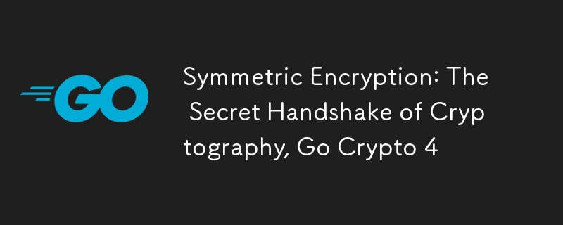 Symmetric Encryption: The Secret Handshake of Cryptography, Go Crypto 4