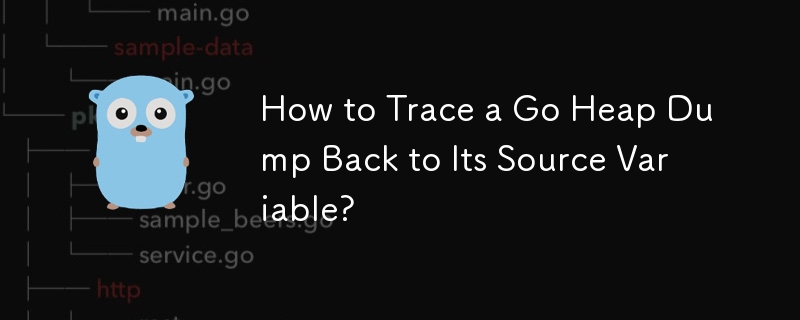 How to Trace a Go Heap Dump Back to Its Source Variable? 
