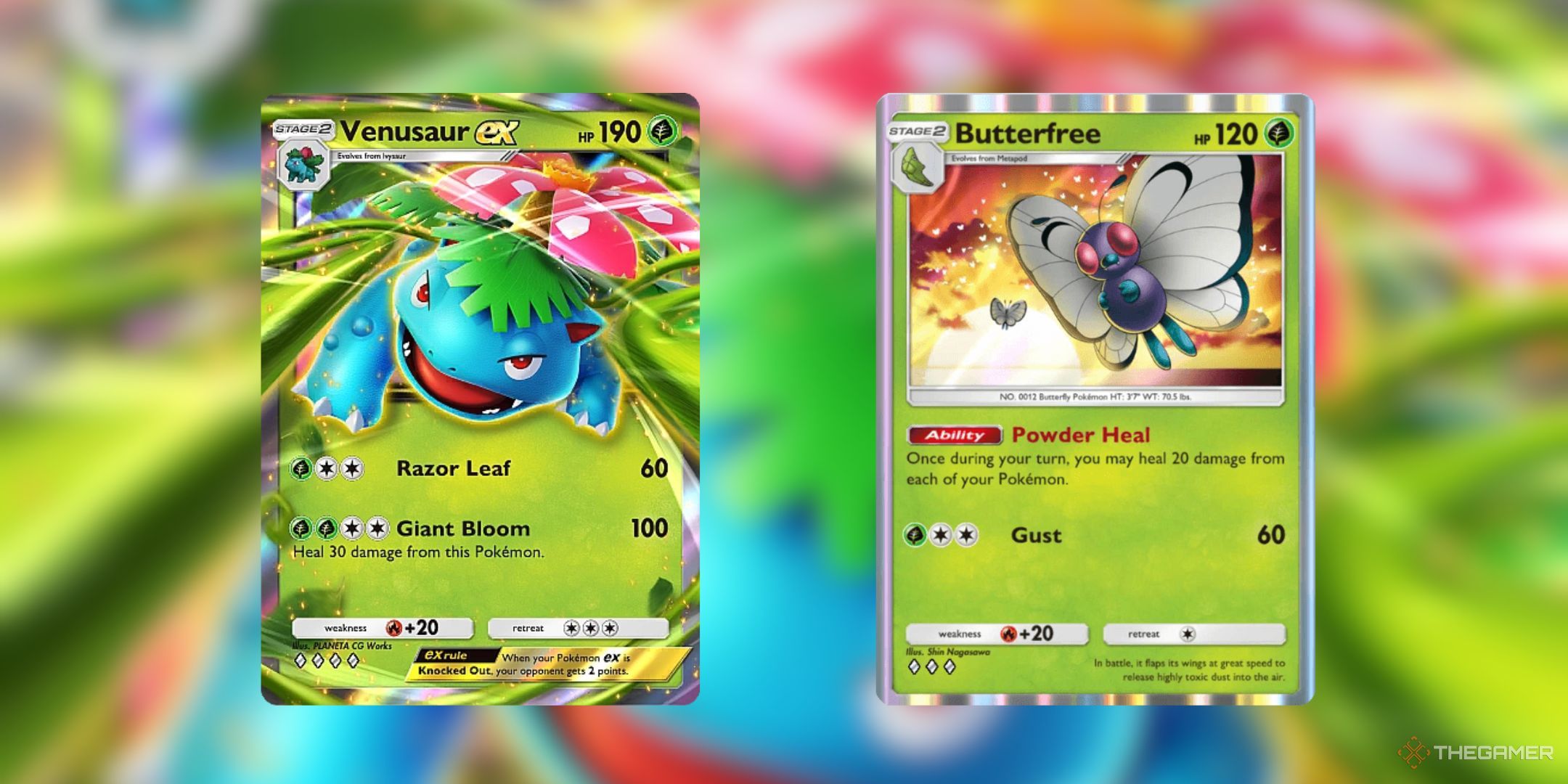 Pokémon TCG Pocket Edition: Flamingo Ex und Shadow Boy Deck Guide